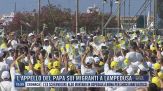 Breaking News delle 17.00 |L'appello del Papa sui migranti a Lampedusa