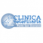 Clinica Veterinaria Ponte San Giovanni di Limongi Giuseppe e Mazzuti Anna