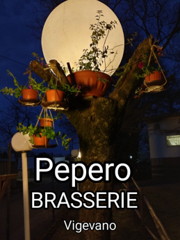 PEPERO BRASSERIE