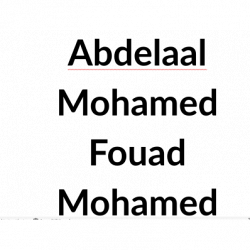 Ditta Abdelaal Mohamed Fouad Mohamed logo
