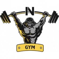 NVGYM Studio & training Lab logo