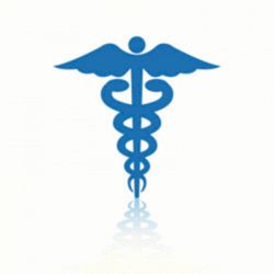 Studio Veterinario Dott.ssa Bertoldo logo