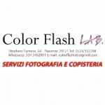 Color Flash Lab