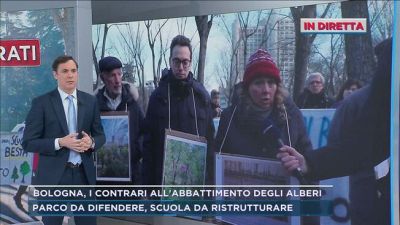 Bologna, in diretta dal parco degli alberi da abbattere