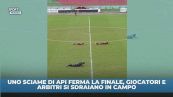 Giocatori e arbitri per terra: il motivo è surreale