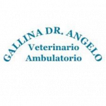 Ambulatorio Veterinario Gallina Dott. Angelo