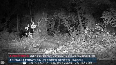 Lilly, l'esperimento di Quarto Grado nel boschetto