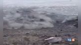 Sisma nel Pacifico è allerta tsunami