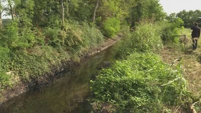 Nuovo allarme a Milano, un'altra macchia nera nel Naviglio