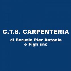 C.T.S. Stampaggio e Assemblaggio Lamiere logo