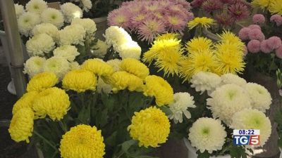 Un fiore per i defunti nonostante i rincari
