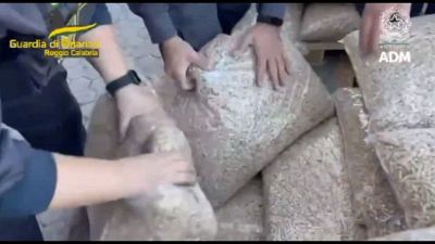 Oltre 780 kg di cocaina scovati in container nel porto di Gioia Tauro