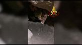 Speleologo bloccato in una grotta a Urzulei, rischio ulterriori crolli