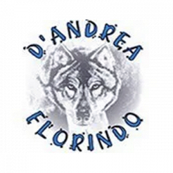D'Andrea Florindo Srl logo