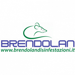 Brendolan logo