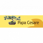 Papa Cesare Servizi di Giardinaggio