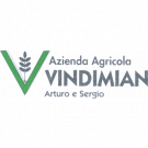 Vivai Azienda Agricola Vindimian