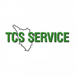 Tcs Service