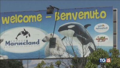 Ora dove andranno quei poveri animali?