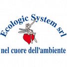 Ecologic System