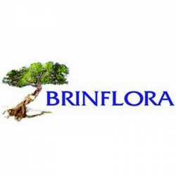 Brinflora Giustizieri Onoranze Funebri - Fioreria logo
