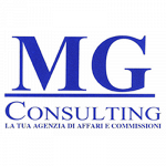 Mg Consulting Agenzia Affari e Commissioni