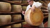 Parmigiano Reggiano a TuttoFood: export I trim +1,8%, focus formazione