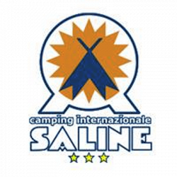 Camping Saline logo