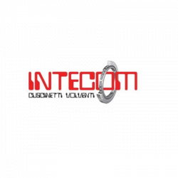 Intecom logo