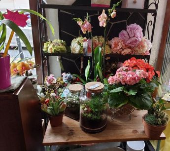 fiori e terrarium
