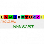 Vivaio Lambertucci Giovanni