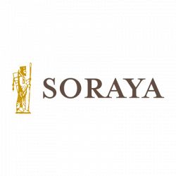 Soraya Tappeti Persiani di Noemi Nori logo