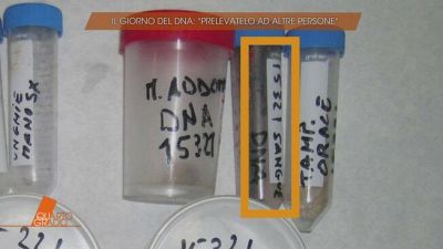 Delitto di Garlasco: il giorno del DNA