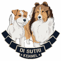 Di Sutri Kennel allevamento Shetland Sheepdog e Jack Russell terrier logo