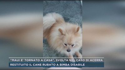 "Maui è tornato a casa", svolta nel caso di Acerra