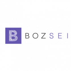 Boz SEI logo
