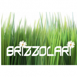 Brizzolari logo