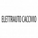 Elettrauto Caccivio