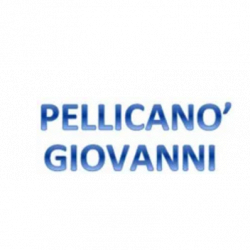Autonoleggio Taxi Pellicanò Giovanni logo