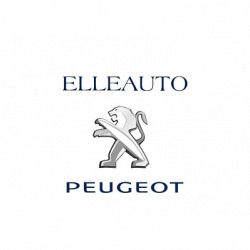 Elleauto Concessionaria Evo S.r.l. logo