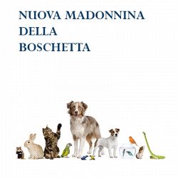 Nuova Madonnina della Boschetta logo