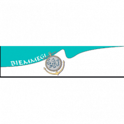 Biemmegi logo