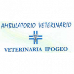 Clinica Veterinaria Ipogeo