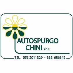Autospurgo Chini Snc logo