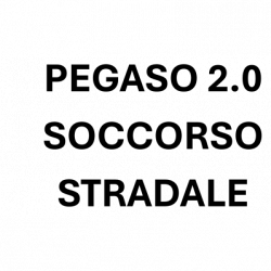 Pegaso 2.0 - Soccorso Stradale logo
