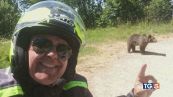 Il selfie con l'orsa, imprudenza fatale