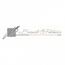 Bisesti e Partners Consulting logo