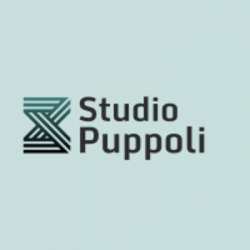 Studio Puppoli Professionisti Associati logo