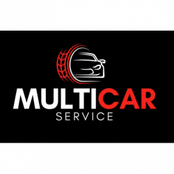 Multicar Service logo