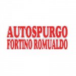 A.A.B. Autospurgo Fortino Romualdo